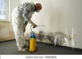 Best Commercial Mold Inspection  in Briar Chapel, NC